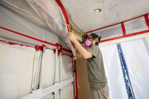 Trusted Centreville, IL Mold Inspection, Removal & Remediation Experts